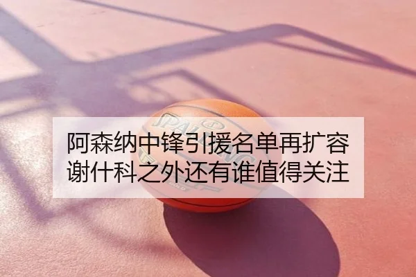 阿森纳中锋引援名单再扩容 谢什科之外还有谁值得关注