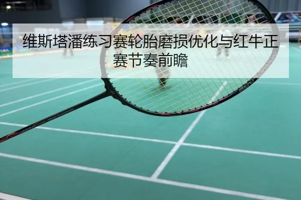 维斯塔潘练习赛轮胎磨损优化与红牛正赛节奏前瞻