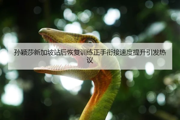 孙颖莎新加坡站后恢复训练正手衔接速度提升引发热议